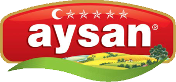 Aysan Logo